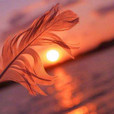 雅博app官网下载